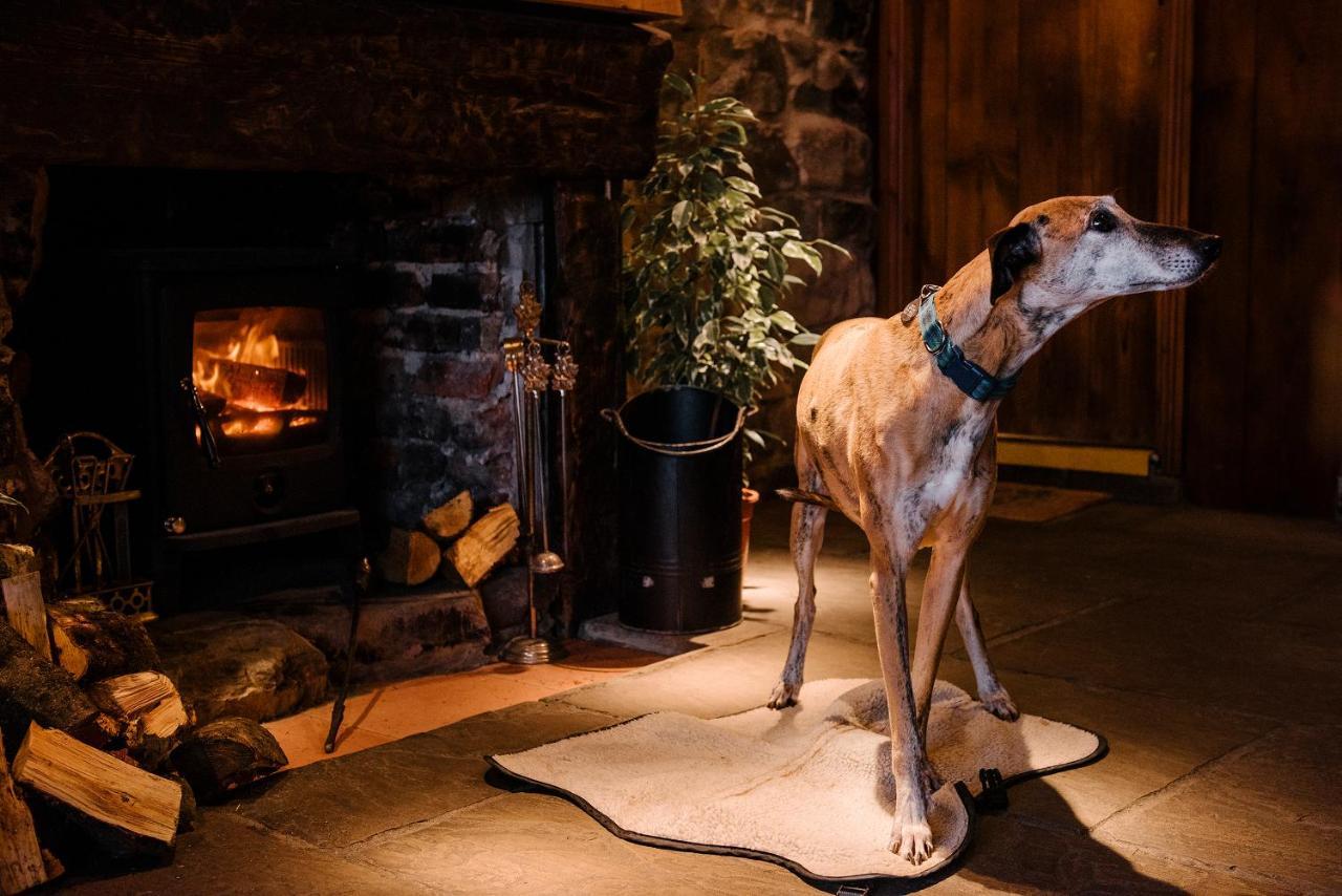 The Joiners Arms Hotel Chathill Luaran gambar